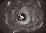 016-017