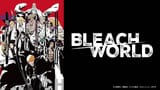 20250513_bleach-world_bnr