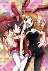 bunny