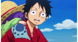 luffyseesyourshitpost