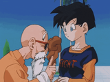 roshi and videl