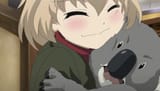 That koala should fucking be me