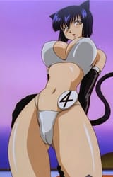 koshka