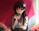 1ca8c1019d273ca1e575269ac6ce511c