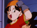 223