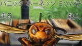 japanese giant hornet