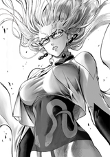 Psykos_profile_manga