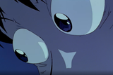 eyes