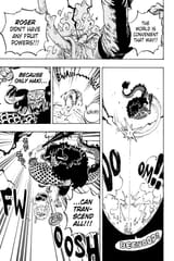 One Piece - c1047 (v104) - p017 [VIZ Media] [Digital] [1r0n]