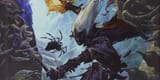 Dungeons-Dragons-Drow-Wizard-Spider-Cover[1]