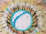 1736879587050084