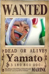 Neo beast pirates