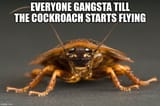 COCKroach