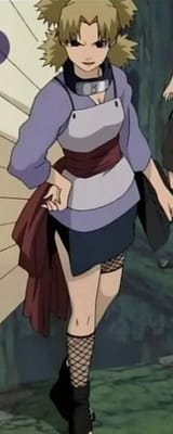 temari_retrieval_arc