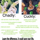 CHADly vs Cuckly