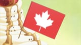 A FUCKING LEAF 9