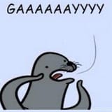seal gay