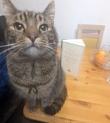 Rupert