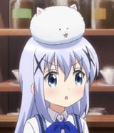 Mad Chino