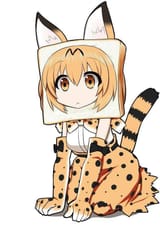 KotBread