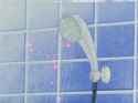 hibari-kun shower_thumb.jpg