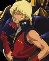 quattro biceps