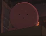 tako