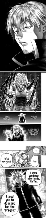 chinese bootleg raws