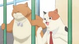 Me.and.the.Alien.MuMu.S01E13.Sakurako.and.the.Cultural.Festival.1080p.AMZN.WEB-DL.JPN.DDP2.0.H.264.ESub-ToonsHub.mkv_snapshot_00.00.21_[2025.07.02_20.41.34]01