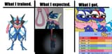 Ash Greninja Stats