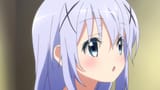 Chino(335)