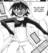 the hamburgler
