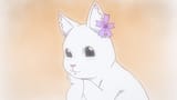 this cat