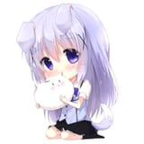 Chino(51)