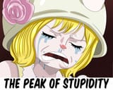 The Peak of Stupidity