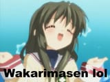 wakarimasen lol