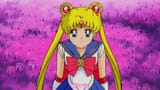 Sailor Moon R The Movie