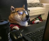 1606652048509