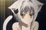 Neko