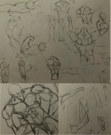 studypicrel