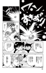 DLRAW.NET-i-0090