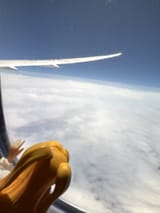 amicoamiami-1940821898151198769-img1