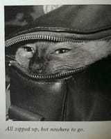 vintage-photographs-of-cats-from-the-1920s-to-1960s-v0-mixurds5b2ee1