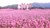 [ZesseiBijin] Monogatari Series Off &amp; Monster Season 06 Nadeko Draw Part Five (BD 1080p) [2620C297].mkv_00.18.06_168[2025_04_22]