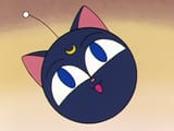 Luna-P-01
