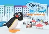 PinguintheCity