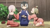 feeding Konoha