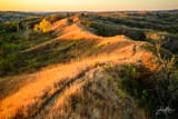 Loess-Hills-Trail-Iowa