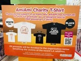 AmiAmi_Report-1941185990938460601-img1