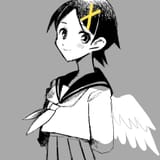kfkwings